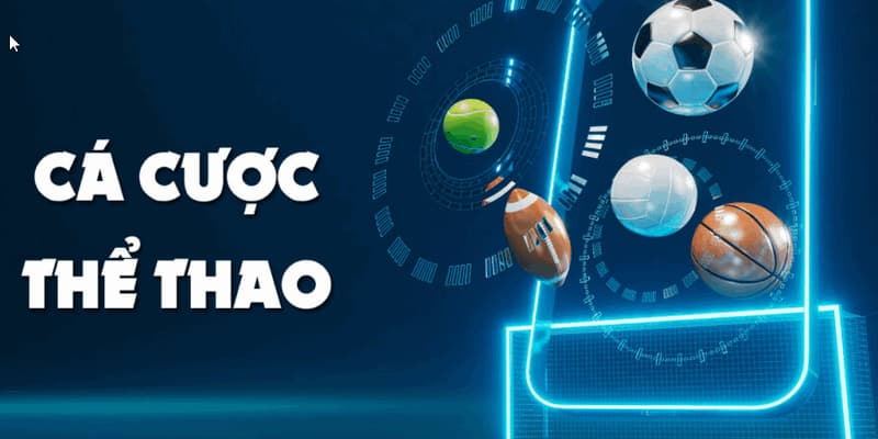 tổng quan Sự Khác Biệt Giữa Kèo Châu Âu Và Kèo Châu Á